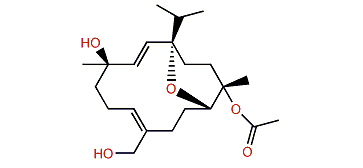 Nanolobol C